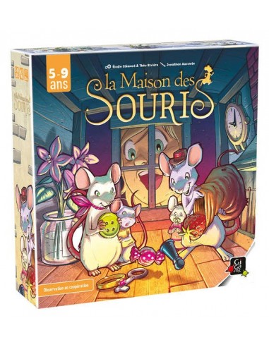 maison-souris-boite