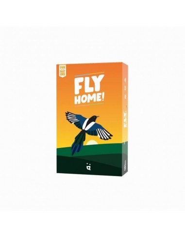 fly-home-helvetiq